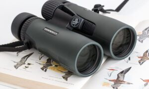 Read more about the article Where to Buy Binoculars: Your Essential Guide to Birdwatching Gear