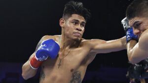 Read more about the article Navarrete vs Valdez 2 live stream: how to watch boxing online from anywhere – start time, full undercard, free options